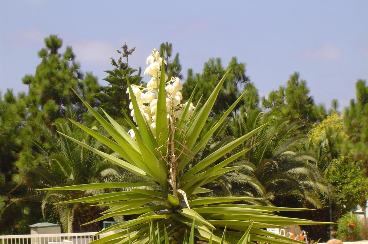 Ikaria Village Apt 201 *